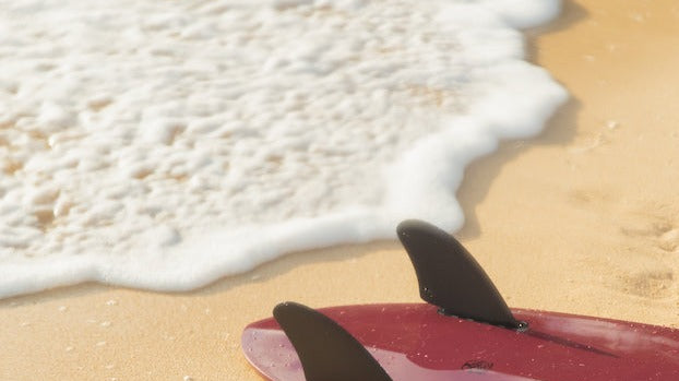 サーフィン 着替え用ウォーターバケツの選び方やメンテナンス方法を解説します